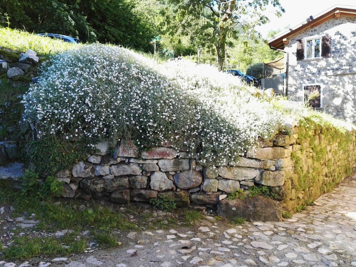 Villa Ca' Eleonora Lezzeno Exterior foto